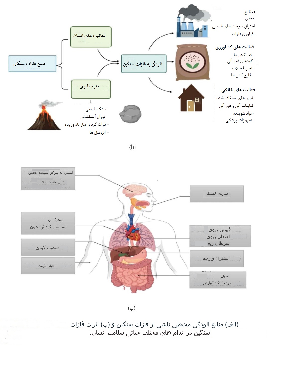 حذف فلزات سنگین